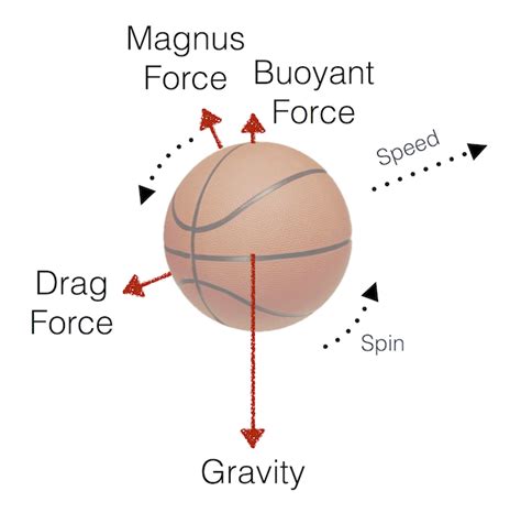 Breaking Boundaries: How a Lowered Basketball Hoop Redefines the Game